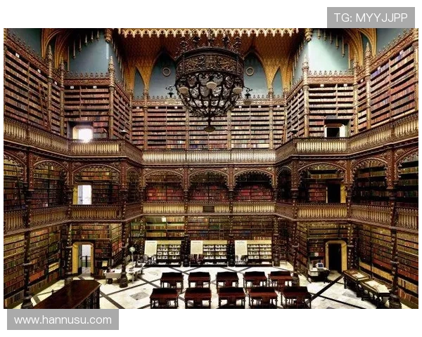 深入了解z6尊龙官方旗舰店，最佳购物指南与建议