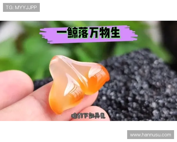 鲸鱼体育安卓版本安装教程，详细步骤指导让你轻松掌握鲸鱼体育应用安装技巧